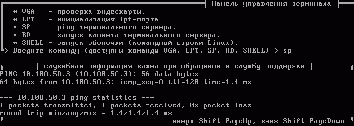ping терминального сервера